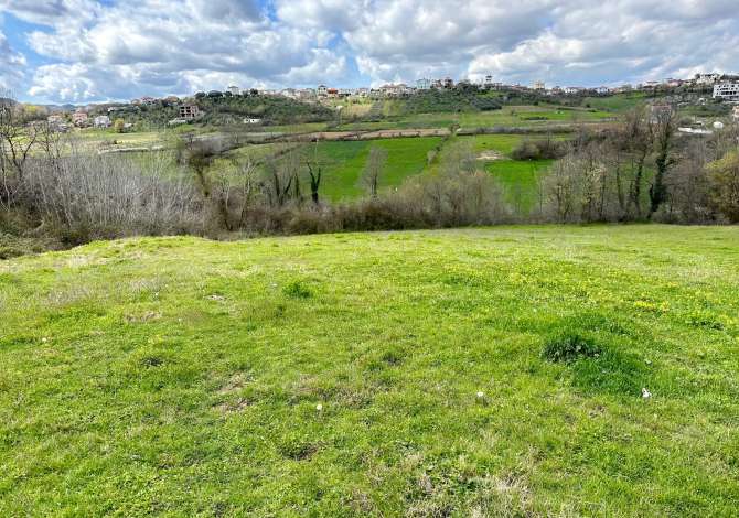 Truall ose Toke  ne Tirane - 950,000 Euro
