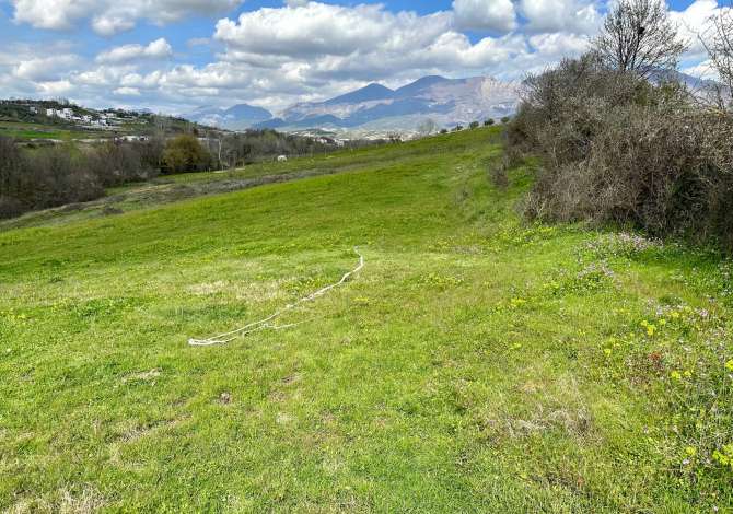 Truall ose Toke  ne Tirane - 950,000 Euro