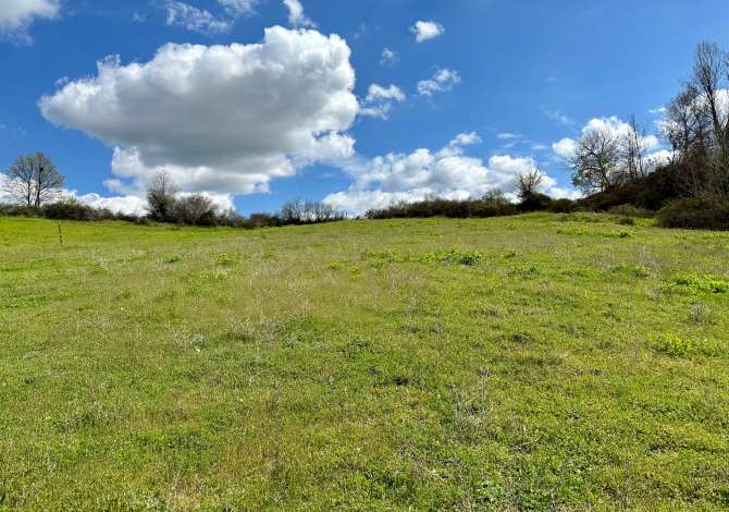 Shitet Toke ne Lunder