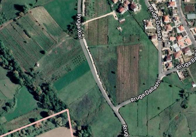 Truall ose Toke  ne Tirane - 950,000 Euro