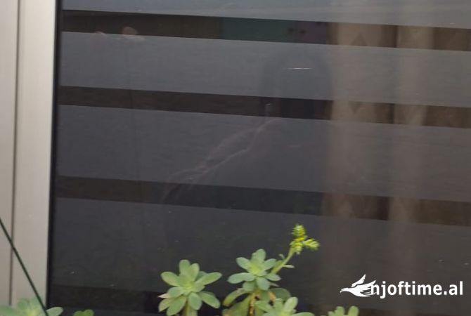 Shtepi me qera Apartament ne Tirane, Garsoniere, Mobilimi Bosh, pa mobiluar, Pagesa 350  Euro.