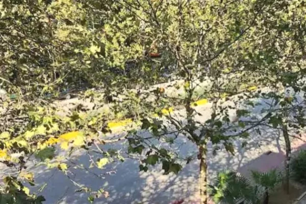 Shtepi me qera Apartament ne Tirane, 2+1, Mobilimi E mobiluar, Pagesa 700  Euro.