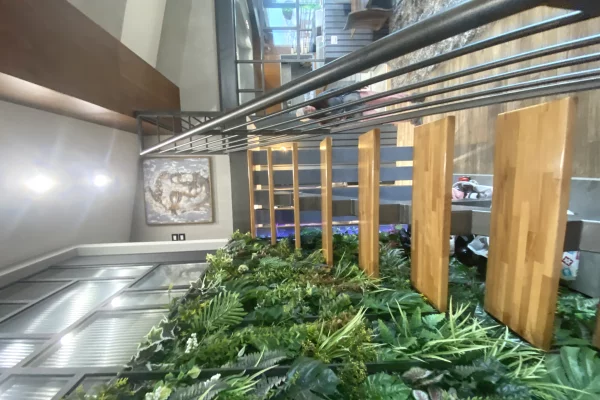 Shtepi me qera 3+1 ne Tirane - 1,700 Euro