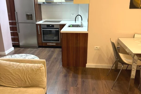 Shtepi me qera Apartament ne Tirane, 1+1, Mobilimi E mobiluar, Pagesa 550  Euro.
