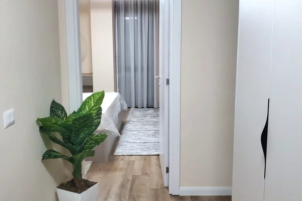 Shtepi me qera Apartament ne Tirane, 1+1, Mobilimi E mobiluar, Pagesa 900  Euro.