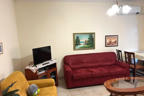 Shtepi me qera Apartament ne Tirane, 1+1, Mobilimi E mobiluar, Pagesa 500  Euro.