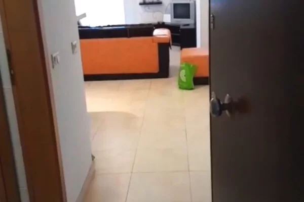 Shtepi me qera Apartament ne Tirane, 2+1, Mobilimi E mobiluar, Pagesa 700  Euro.