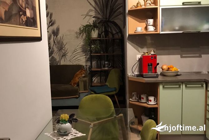 Shtepi me qera Apartament ne Tirane, 2+1, Mobilimi E mobiluar, Pagesa 750  Euro.