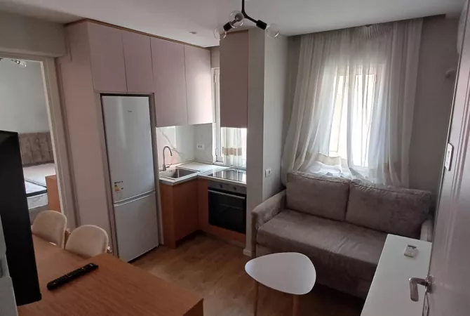 Shtepi me qera Apartament ne Tirane, 1+1, Mobilimi E mobiluar, Pagesa 520  Euro.