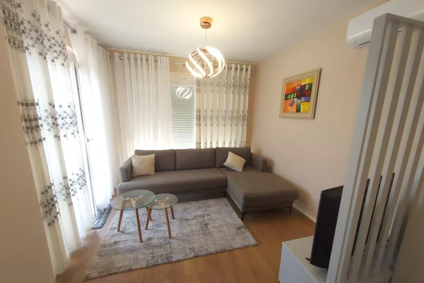 Shtepi me qera Apartament ne Tirane, 2+1, Mobilimi E mobiluar, Pagesa 570  Euro.