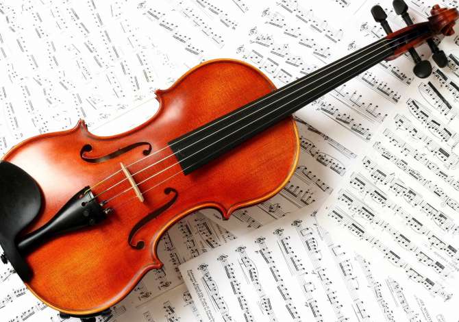 Kurse Profesionale Private Violine.
