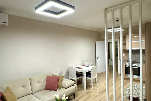 Casa in affitto 1+1 a Tirana - 80,000 Leke