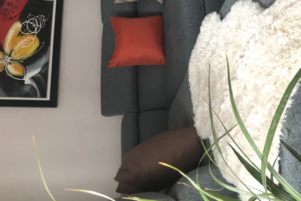 Apartment for rent in Tirana 1+1, Furnished