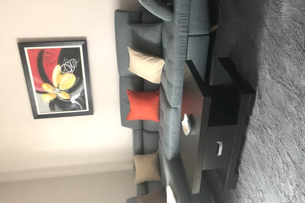 Shtepi me qera 1+1 ne Tirane - 60,000 Leke