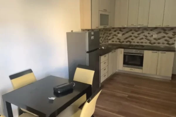 Shtepi me qera 1+1 ne Tirane - 50,000 Leke