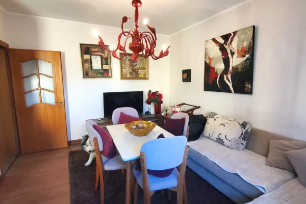 Shtepi ne shitje Apartament ne Tirane, 1+1, Mobilimi E mobiluar, Pagesa 12,500,000  Leke.