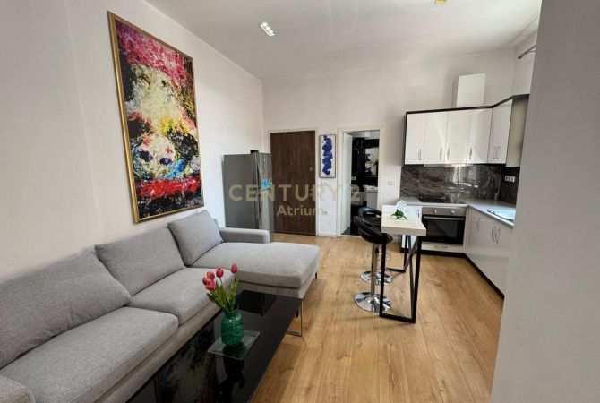 Shtepi me qera Apartament ne Tirane, 1+1, Mobilimi E mobiluar, Pagesa 600  Euro.