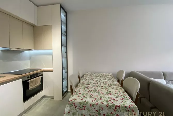 Apartment for rent in Tirana 2+1, Furnished