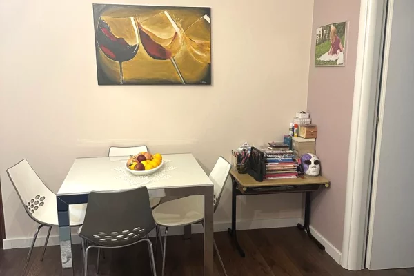 Shtepi me qera 1+1 ne Tirane - 649 Euro