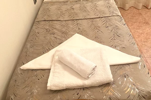 Shtepi me qera Apartament ne Tirane, 3+1, Mobilimi E mobiluar, Pagesa 700  Euro.