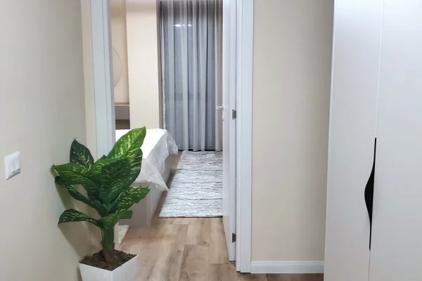 Shtepi me qera Apartament ne Tirane, 1+1, Mobilimi E mobiluar, Pagesa 900  Euro.