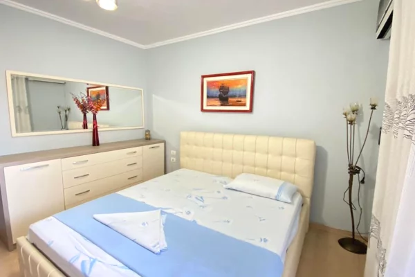 Shtepi me qera Apartament ne Tirane, 1+1, Mobilimi E mobiluar, Pagesa 699  Euro.