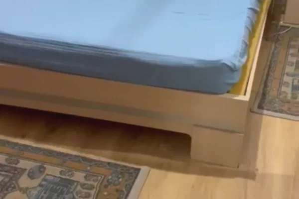 Shtepi me qera Apartament ne Tirane, 1+1, Mobilimi E mobiluar, Pagesa 400  Euro.