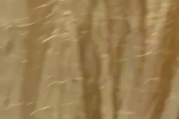 Shtepi me qera Apartament ne Tirane, 1+1, Mobilimi E mobiluar, Pagesa 400  Euro.