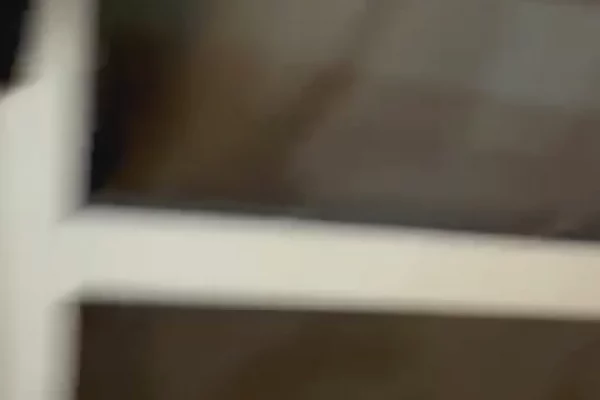 Shtepi me qera Apartament ne Tirane, 1+1, Mobilimi E mobiluar, Pagesa 400  Euro.