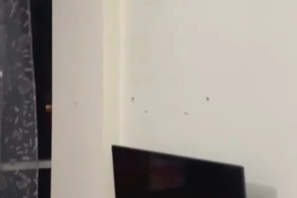 Shtepi me qera 1+1 ne Tirane - 400 Euro