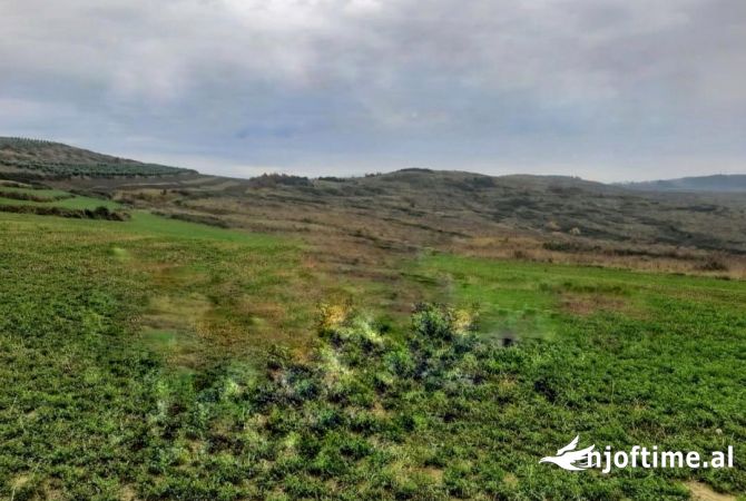 Land for Sale  in Tirana - 95,000 Euro
