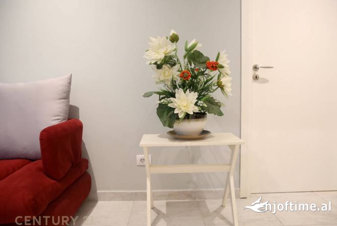 Apartment for rent in Tirana 2+1, Furnished