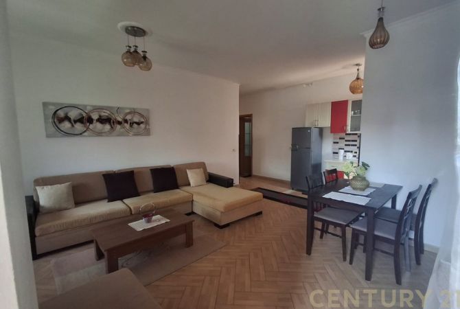 Shtepi me qera Apartament ne Tirane, 1+1, Mobilimi E mobiluar, Pagesa 500  Euro.