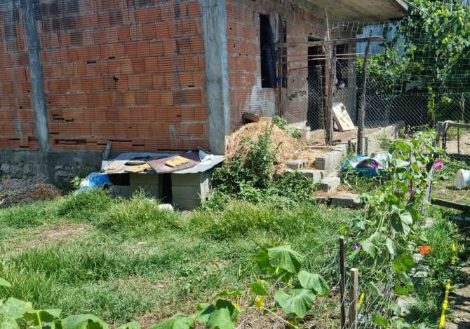 Truall ose Toke ne Tirane - 50,000 Euro