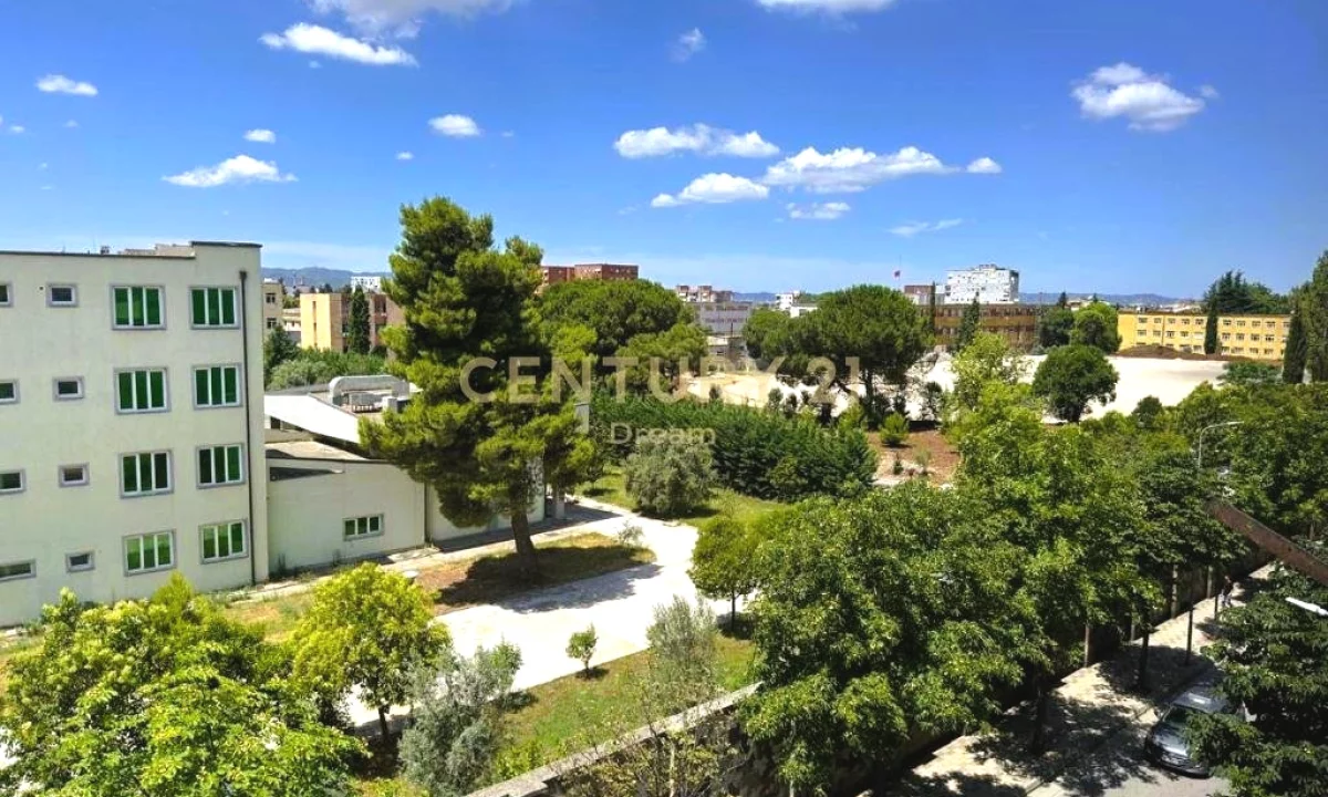  AMBIENT KOMERCIAL TEK OXHAKU – BUZE RRUGE!