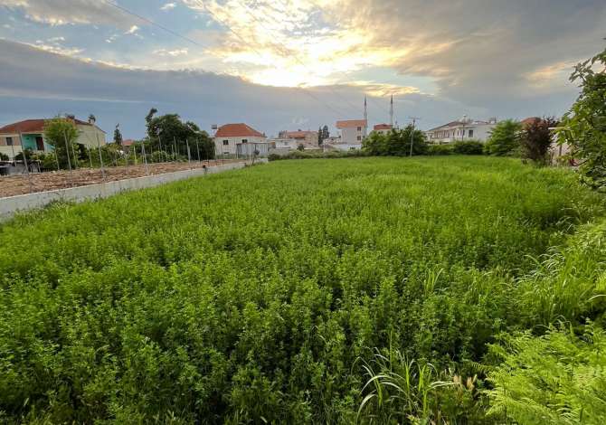 Truall ose Toke ne Tirane - 70,000 Euro