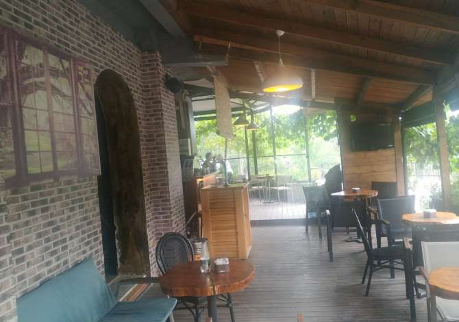 Ambient biznesi me qera 2+1 ne Tirane - 800 Euro