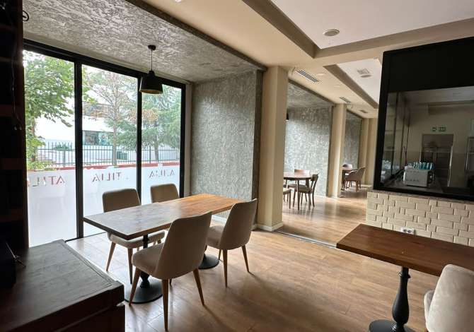 Ambient biznesi me qera 2+1 ne Tirane - 4,000 Euro
