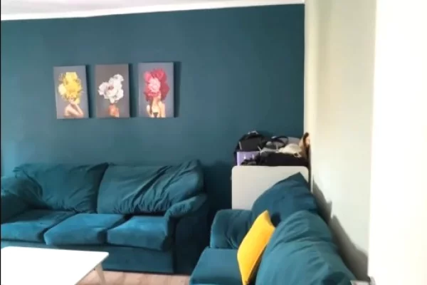 Shtepi ne shitje 1+1 ne Tirane - 117,000 Euro