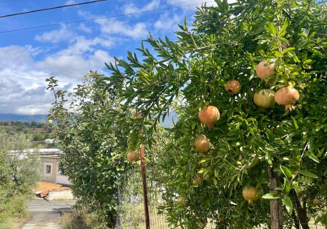 Shtepi me qera 2+1 ne Tirane - 400 Euro