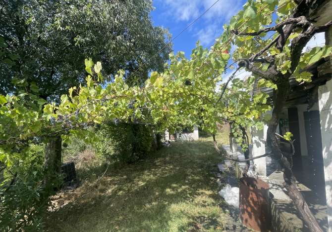 Shtepi me qera 2+1 ne Tirane - 400 Euro