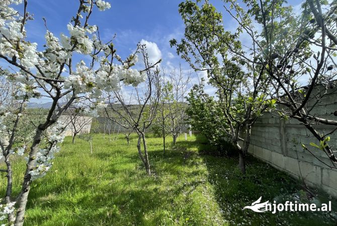 Land for Sale  in Tirana - 110,000 Euro