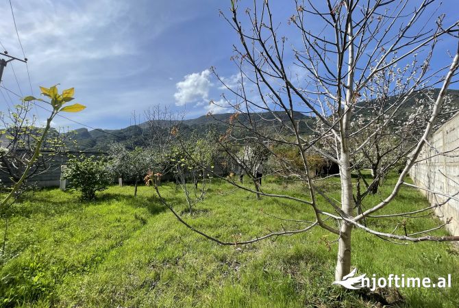 Land for Sale  in Tirana - 110,000 Euro