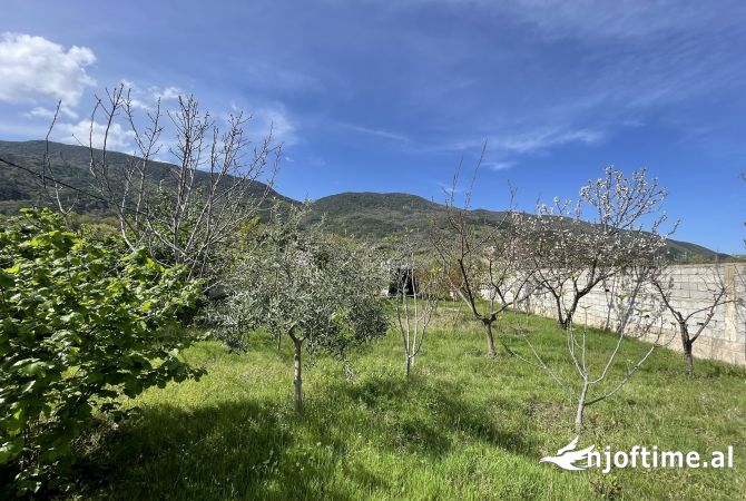 Land for Sale  in Tirana - 110,000 Euro