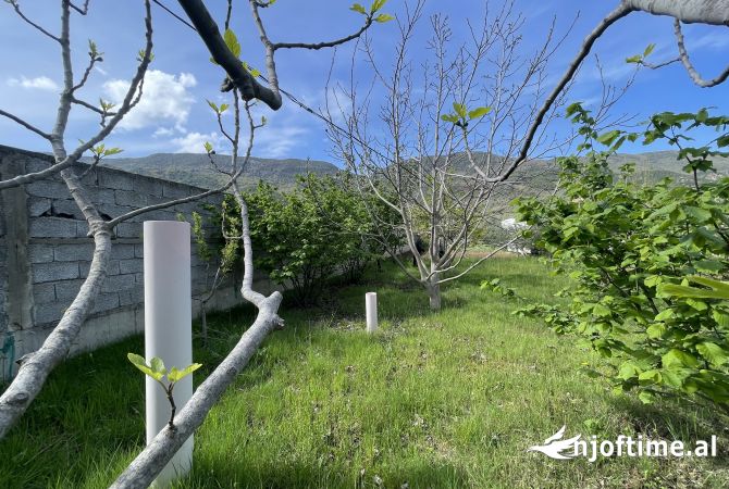 SHITET toke ne Berzhite prane 