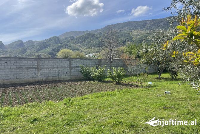 SHITET toke ne Berzhite prane 