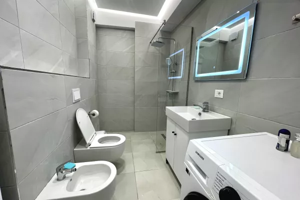 Apartment for rent in Tirana 1+1, Furnished