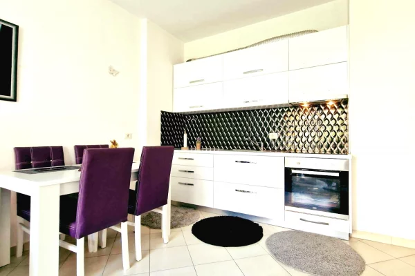 Shtepi me qera 1+1 ne Tirane - 40,000 Leke