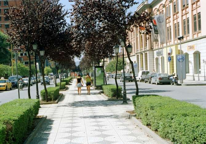 Ambient biznesi me qera 1+1 ne Tirane - 350 Euro
