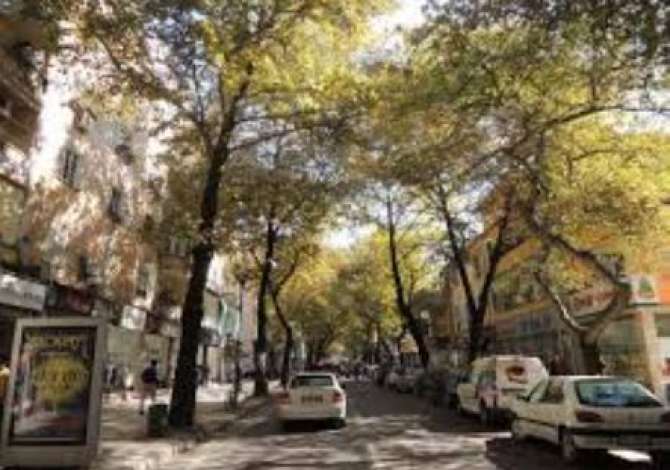 Ambient biznesi me qera 1+1 ne Tirane - 851 Euro